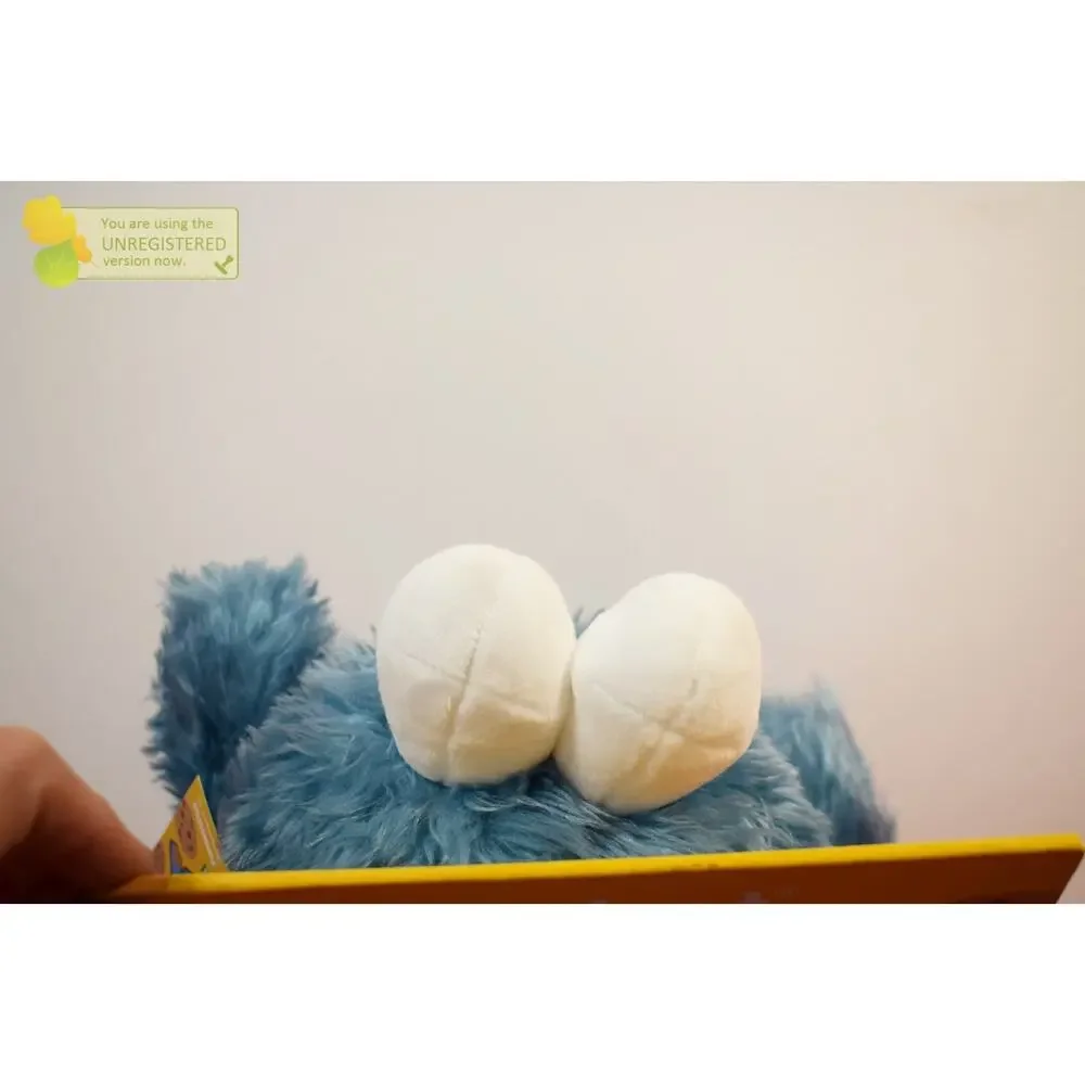 KidRobot Sesame Street 16